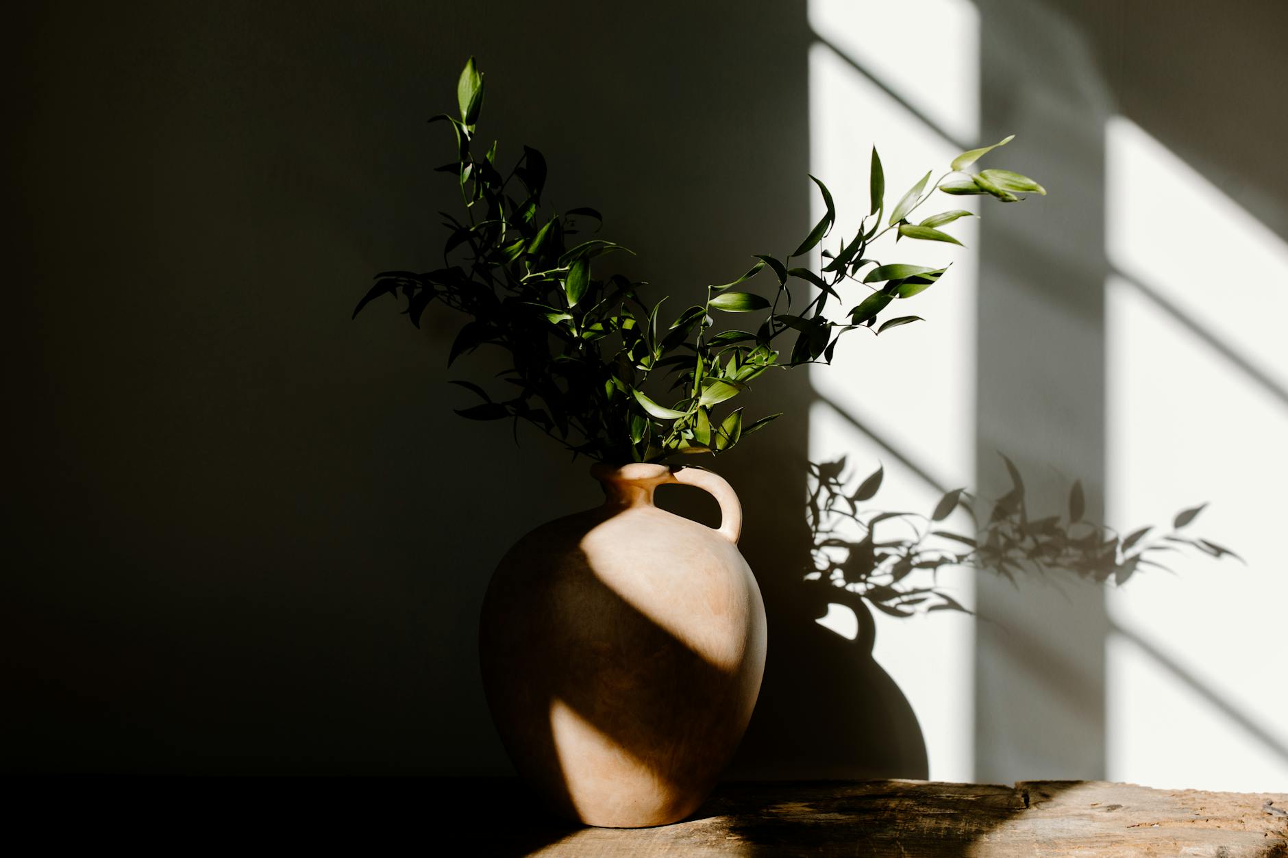 How to Choose Vases & planters That Actually Fit | Vases & planters for Small Spaces: Fit Details to Check in a comfortable everyday home
